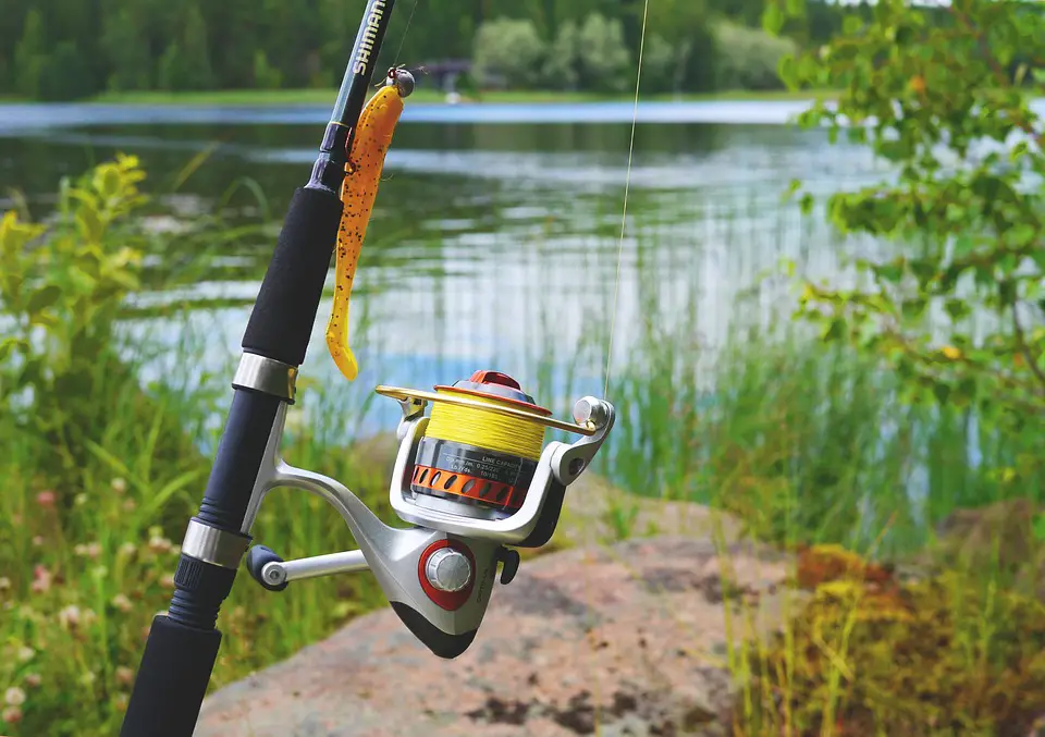 From Waders to Hooks: A Comprehensive Guide to Lithuanian Fishing Gear