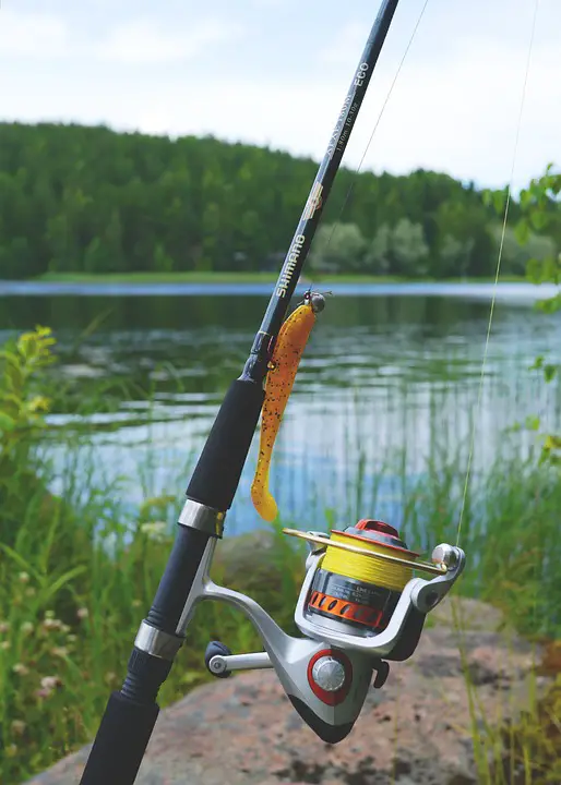The Versatile Tackle Box: Essentials for Every Lithuanian Fishing Expedition